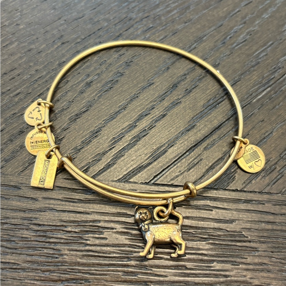 Alex And Ani Monopoly Cat Charm Expandable Wire Bangle Bracelet